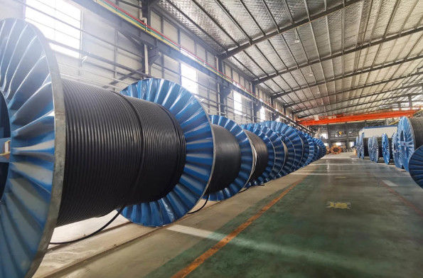 Porcellana HENAN UME CABLE CO., LTD. Profilo aziendale 