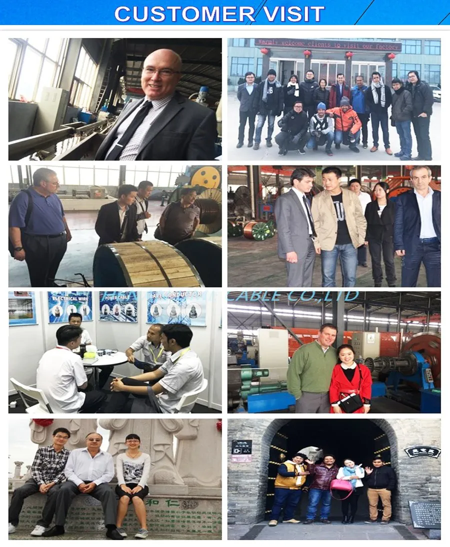 AFR250 filo Conductor di rame arginato PTFE filo singolo isolato 1x0.2mm2/1*24AWG 6